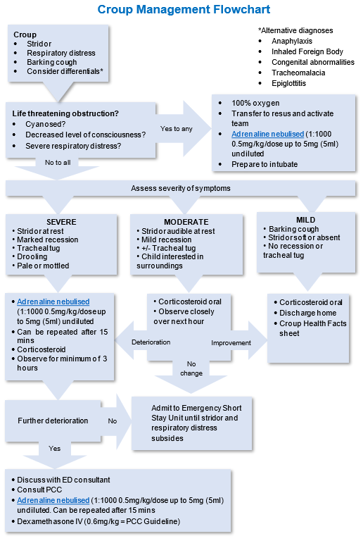 Croup Management Flowchart